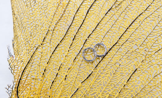 Texture Hammered Stud Earrings